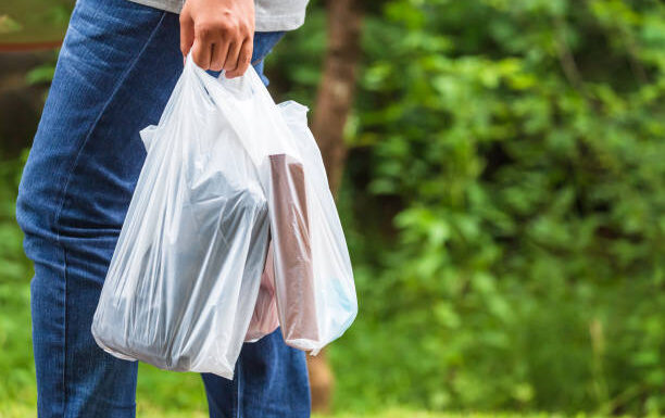 Plastic Bags and Their Impact on Business Development in Greater Montreal