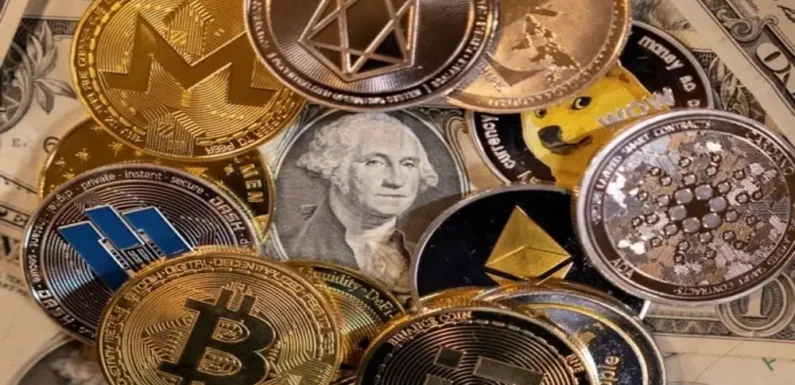 Which cryptocurrency is the best? Let’s look into this in more detail.