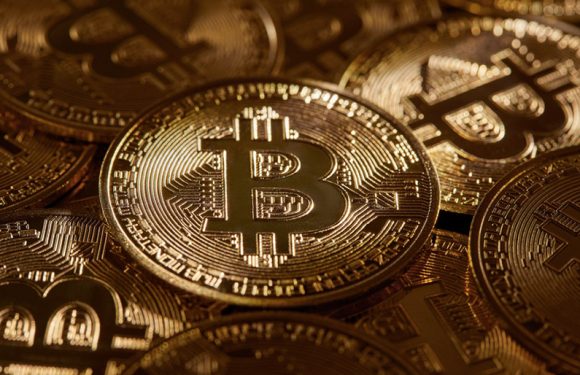 Why are corporate treasuries allocating funds to digital currency?